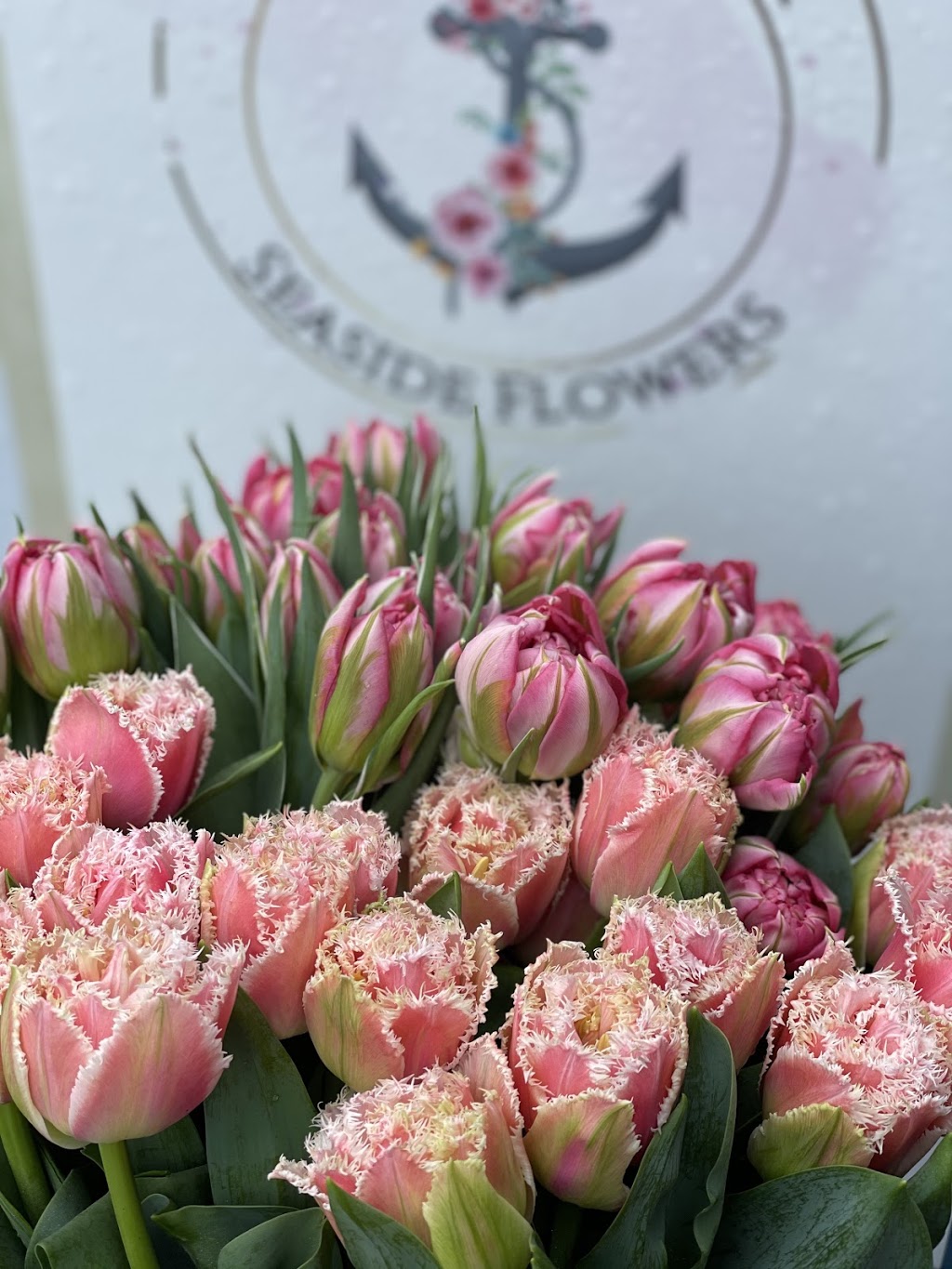 Scarborough Seaside Flowers | florist | 95 Landsborough Ave, Scarborough QLD 4020, Australia | 0478826338 OR +61 478 826 338