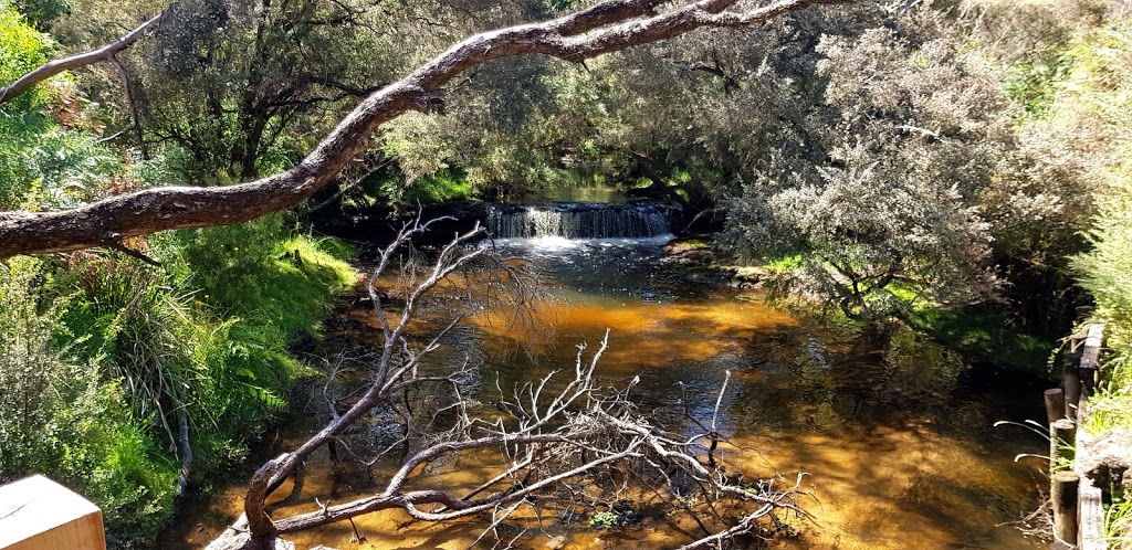 Moleside Creek | campground | Lower Glenelg National Park, Great South West Walk, Mount Richmond VIC 3304, Australia