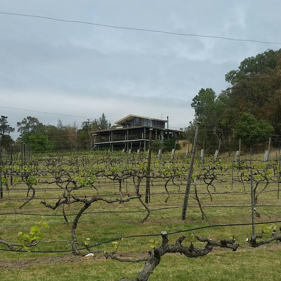 Twisted Gum Wines | tourist attraction | 2253 Eukey Rd, Ballandean QLD 4382, Australia | 0746841282 OR +61 7 4684 1282