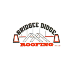 Bridgee Didge Roofing pty ltd | roofing contractor | 293 The Entrance Rd, The Entrance NSW 2261, Australia | 0468345671 OR +61 468 345 671