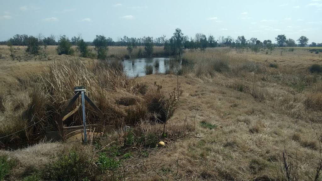 Everlasting Swamp National Park | Lower Southgate NSW 2460, Australia