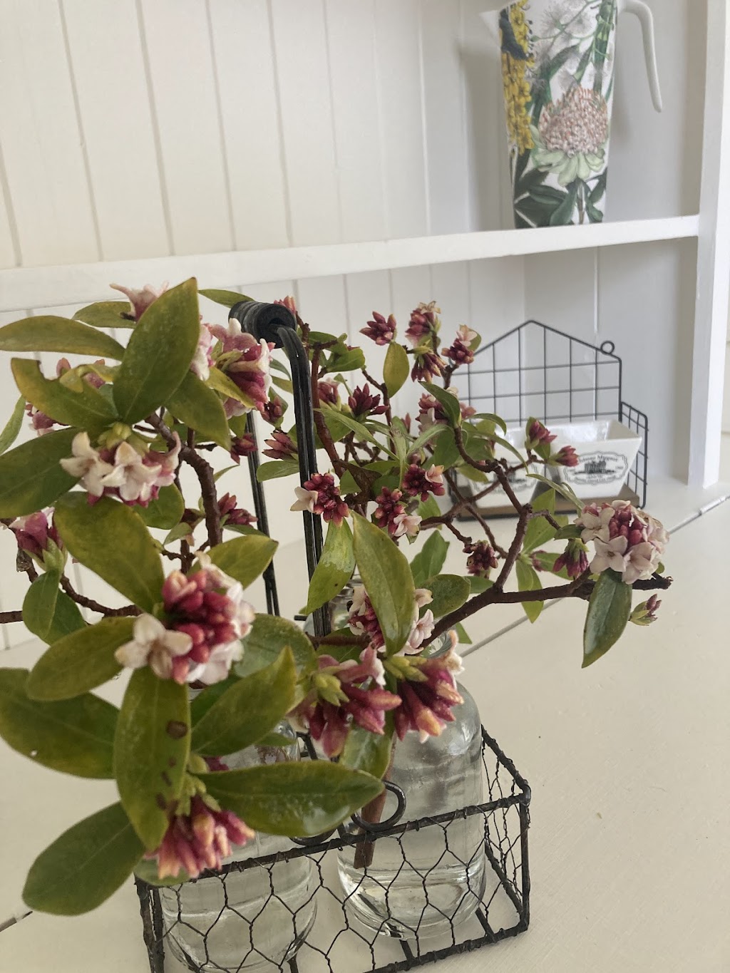 Newbridge Schoolhouse | 9 Blayney St, Newbridge NSW 2795, Australia | Phone: 0412 943 683