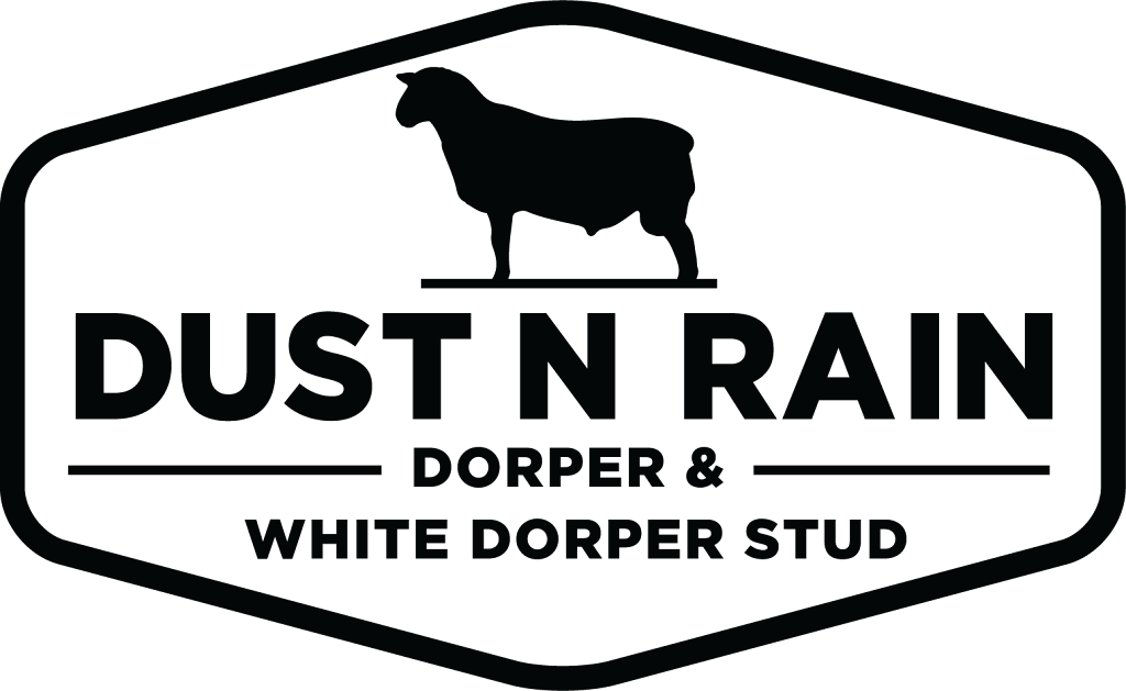Dustn Rain Dorper & White Dorper Stud |  | 8864 High Darling Rd, Pooncarie NSW 2648, Australia | 0409295281 OR +61 409 295 281
