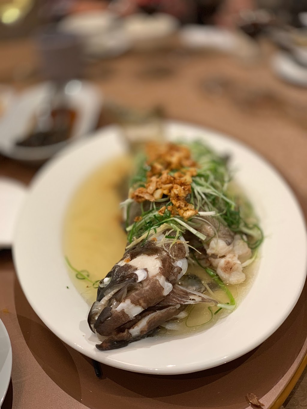 Causeway Bay Seafood Restaurant | restaurant | 70 Pinelands Rd, Sunnybank Hills QLD 4109, Australia | 0731508415 OR +61 7 3150 8415