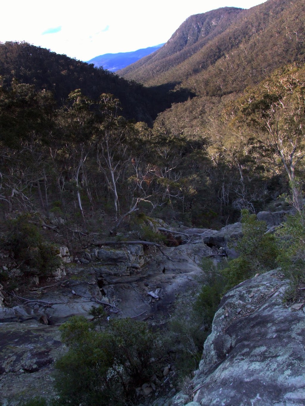 Myanba Gorge lookout | tourist attraction | Myanba Gorge Walking Track, Coolangubra NSW 2550, Australia | 0264585900 OR +61 2 6458 5900