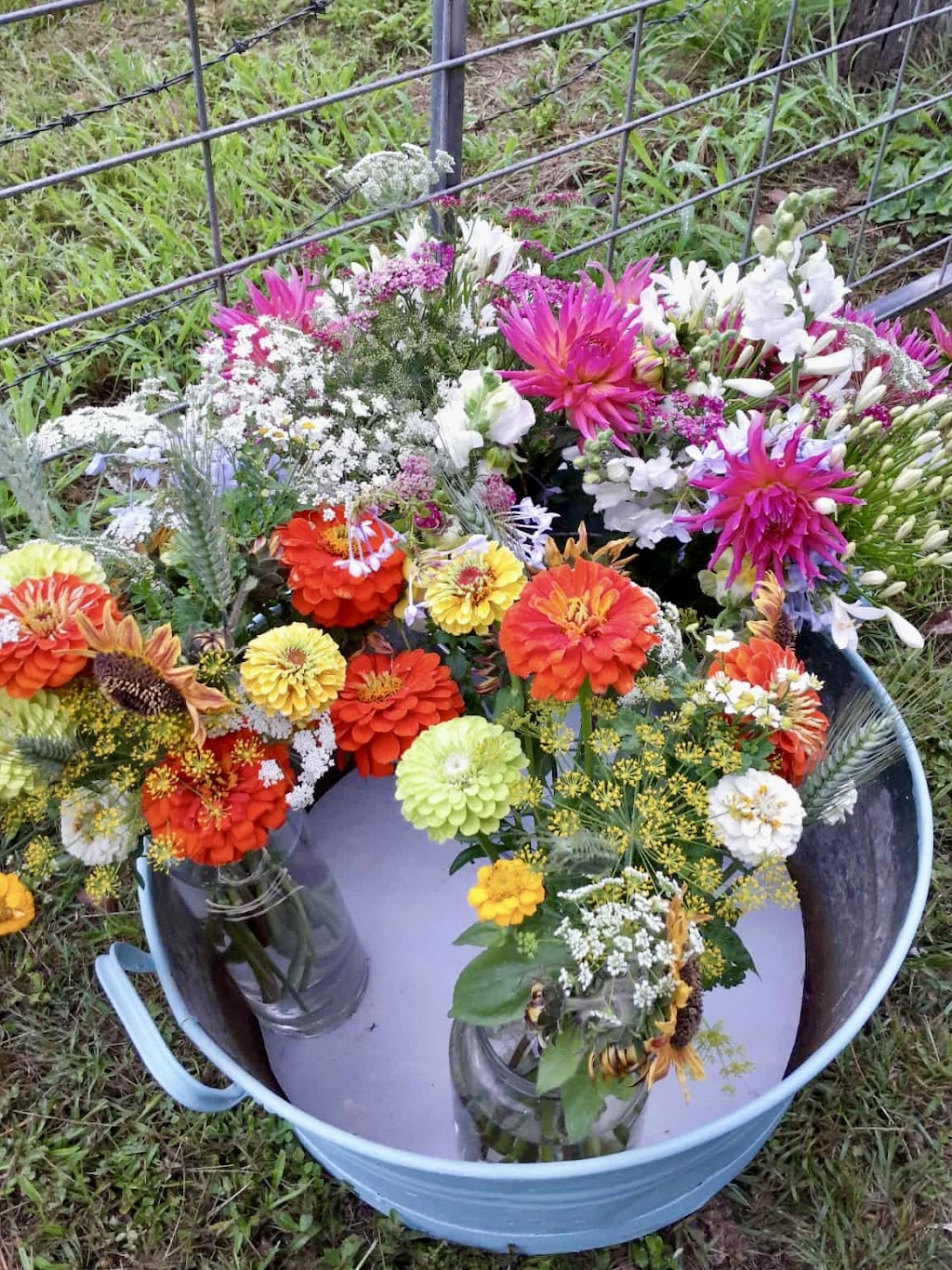 Cawongla Harvest | 5178 Kyogle Rd, Cawongla NSW 2474, Australia | Phone: 0414 830 166