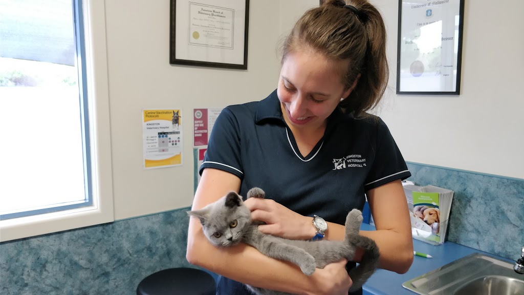 Kingston Veterinary Hospital | veterinary care | 32 Lower Dandenong Rd, Mentone VIC 3194, Australia | 0395847500 OR +61 3 9584 7500