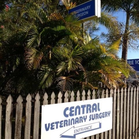 CENTRAL VETERINARY SURGERY | 127 Walsh St, Mareeba QLD 4880, Australia | Phone: (07) 4092 2311