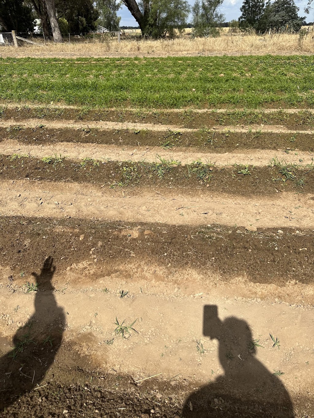 110 Agri-Farms Australia | 720 Bitcon Rd, Toolamba West VIC 3614, Australia | Phone: 0405 621 467 110 Agri-Farms Australia | 720 Bitcon Rd, Toolamba West VIC 3614, Australia | Phone: 0405 621 467