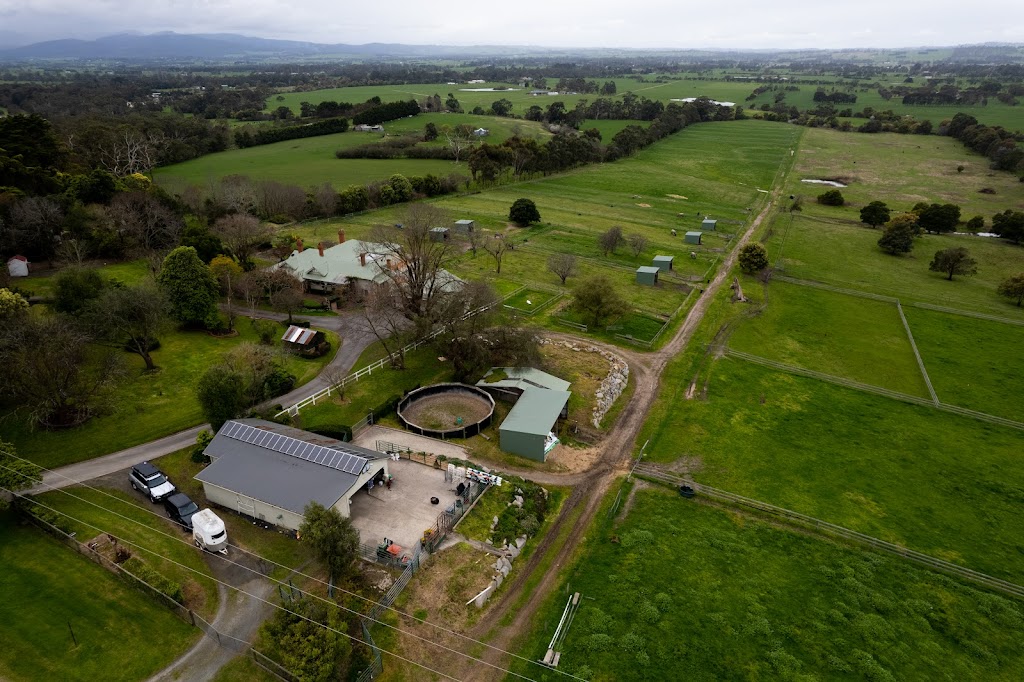 Filipa Equine | 190A Abeckett Rd, Bunyip VIC 3815, Australia | Phone: 0422 855 126