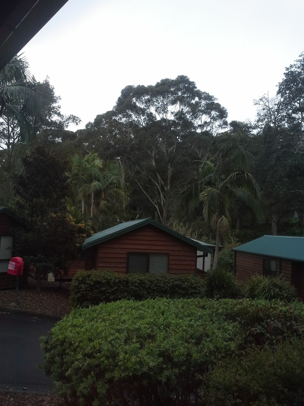 The Palms at Avoca | campground | Carolina Park Rd, Avoca Beach NSW 2251, Australia | 0243821227 OR +61 2 4382 1227