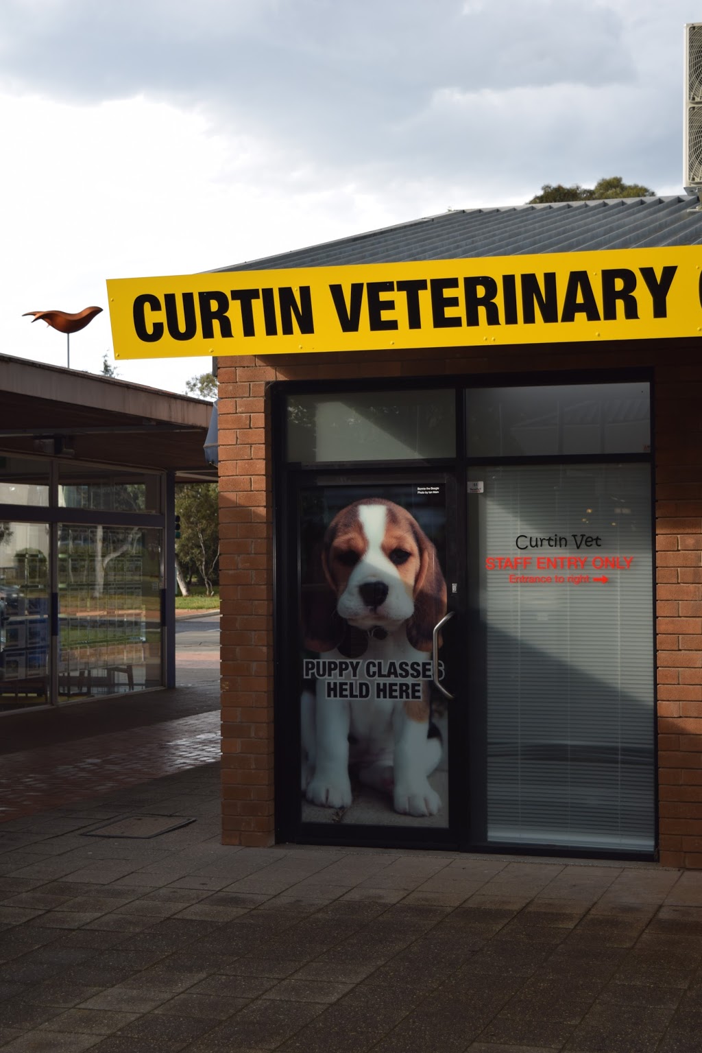 Curtin Veterinary Clinic | veterinary care | 31/35 Curtin Pl, Curtin ACT 2605, Australia | 0262810990 OR +61 2 6281 0990