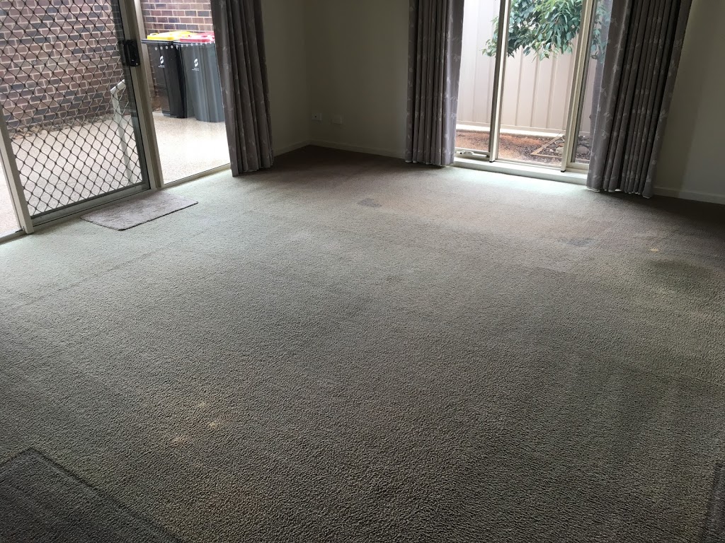 Call Sady Your Friendly Cleaning Lady | 86 Poplar Ave, Shepparton VIC 3630, Australia | Phone: 0402 304 810