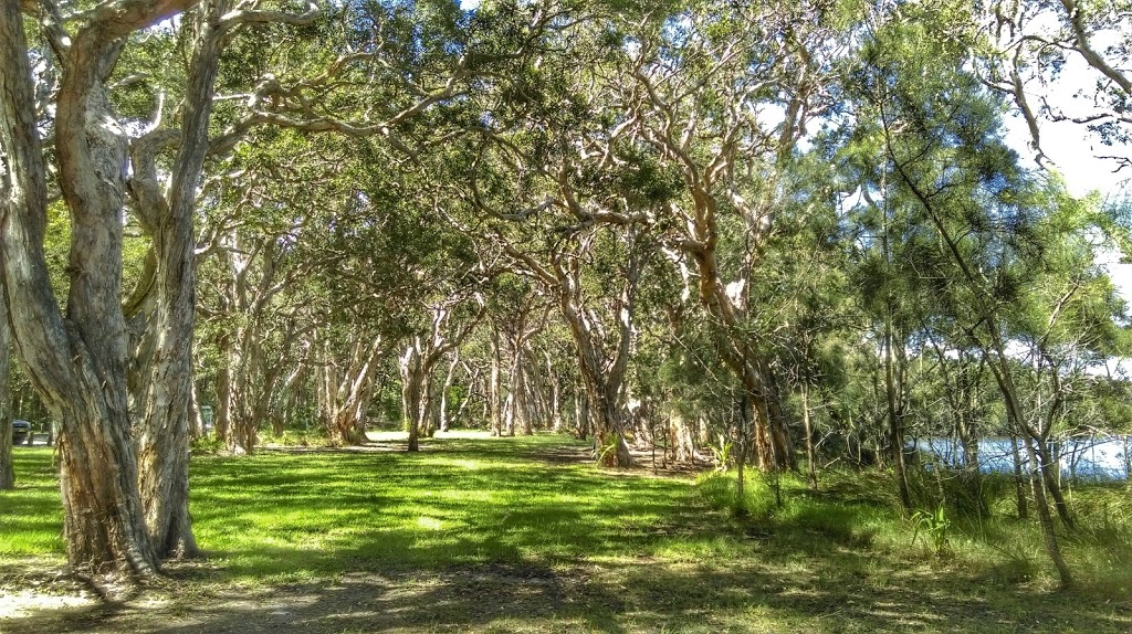 White Tree Bay campground and picnic area | Mungo Brush Road, Mungo Brush NSW 2423, Australia | Phone: (02) 6591 0300