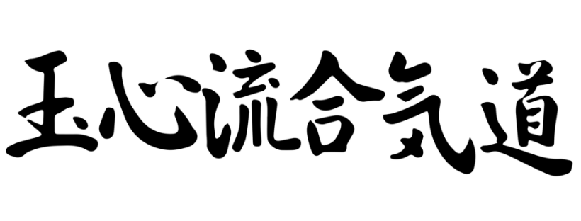 Gyokushin Ryu Aikido Tasmania | Penguin Budo | health | Johnsons Beach Rd, Penguin TAS 7316, Australia | 0422472340 OR +61 422 472 340