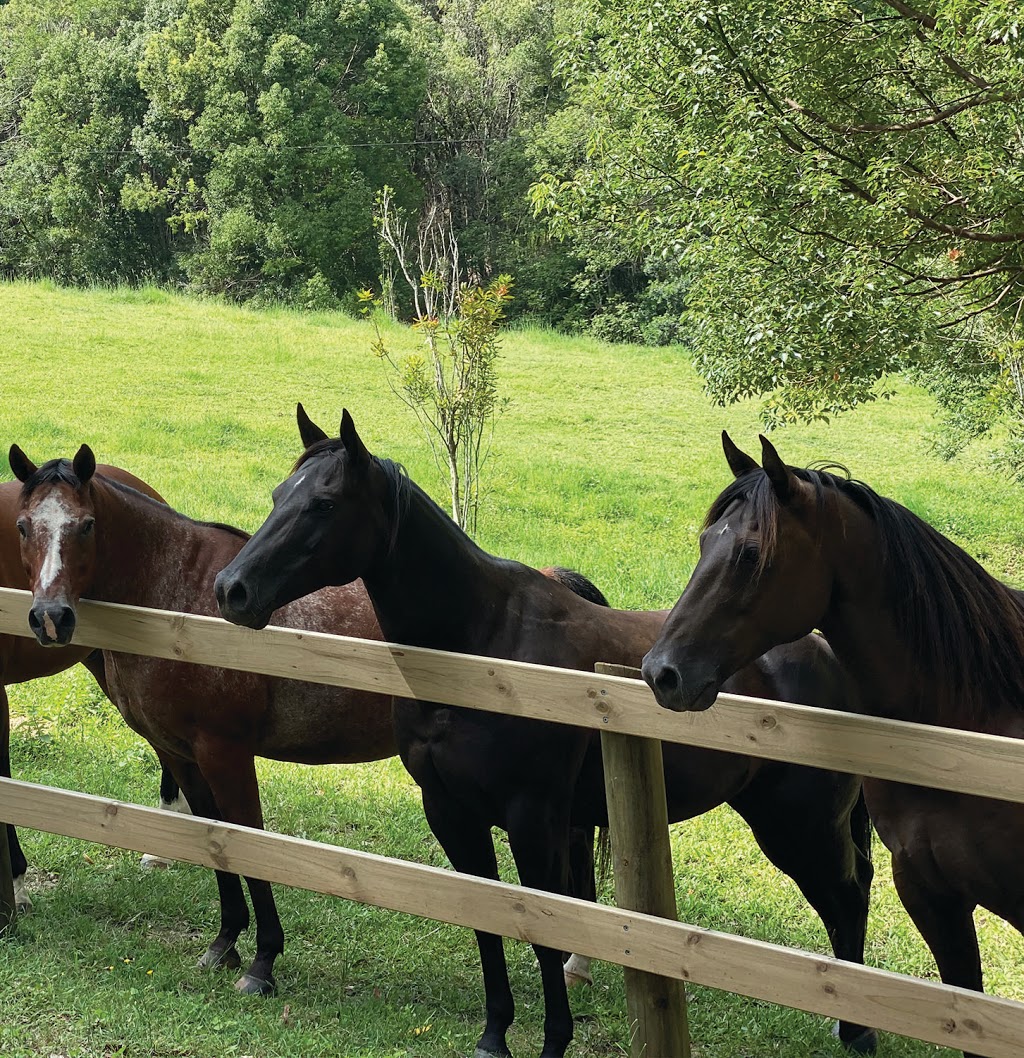 At The Barn Counselling | 138 Piggabeen Rd, Currumbin Valley QLD 4223, Australia | Phone: 0427 786 840