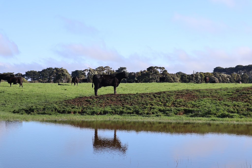 Two Twenty Two Farm Stay | 344 Robbins Rd, Lymwood TAS 7256, Australia | Phone: 0499 932 967