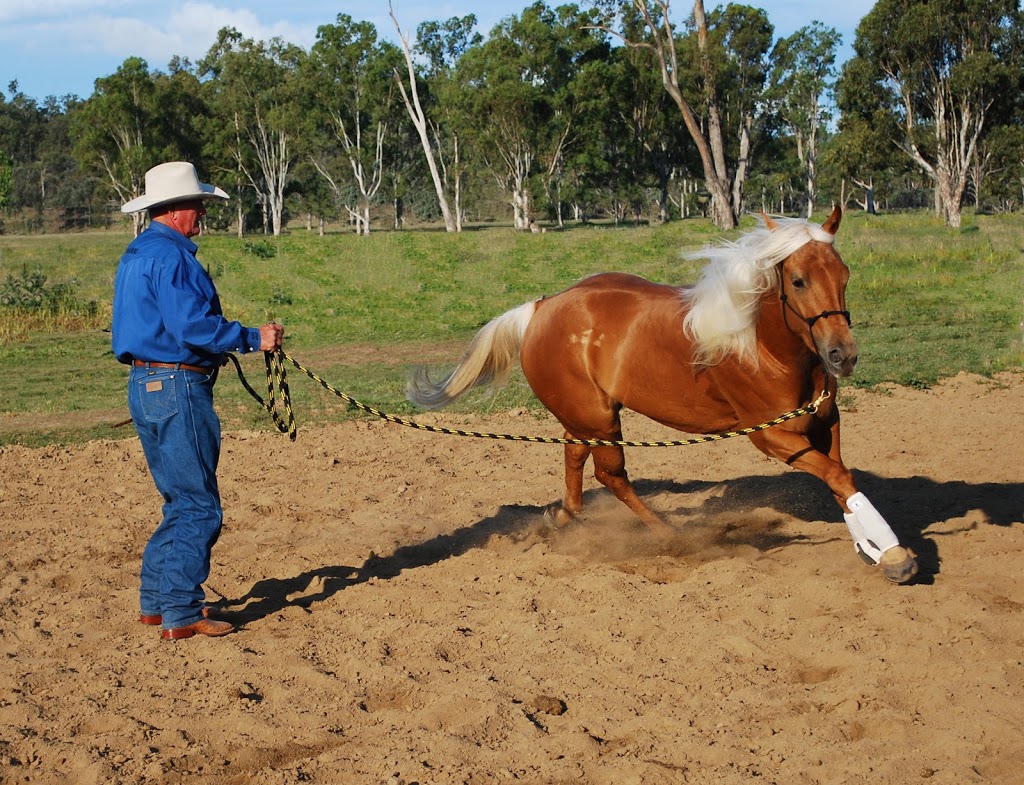 Ian Francis Horsemanship | travel agency | 1014 Tingoora Chelmsford Rd, Chelmsford QLD 4606, Australia | 0741685444 OR +61 7 4168 5444