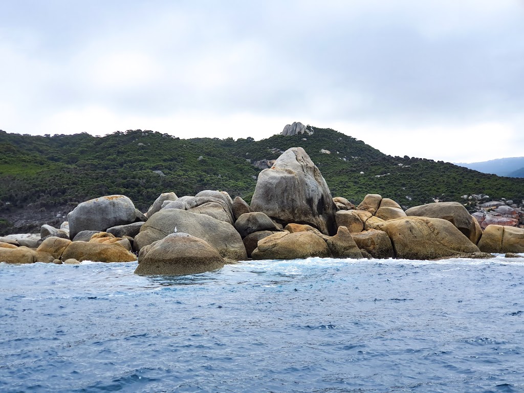 Wilsons Promontory Cruises | tourist attraction | Tidal River Cinema, Tidal River VIC 3960, Australia | 0428400155 OR +61 428 400 155