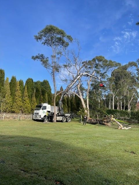 Canopy Lift contracting | 210 Railway Parade, Balmoral NSW 2571, Australia | Phone: 0458 401 601