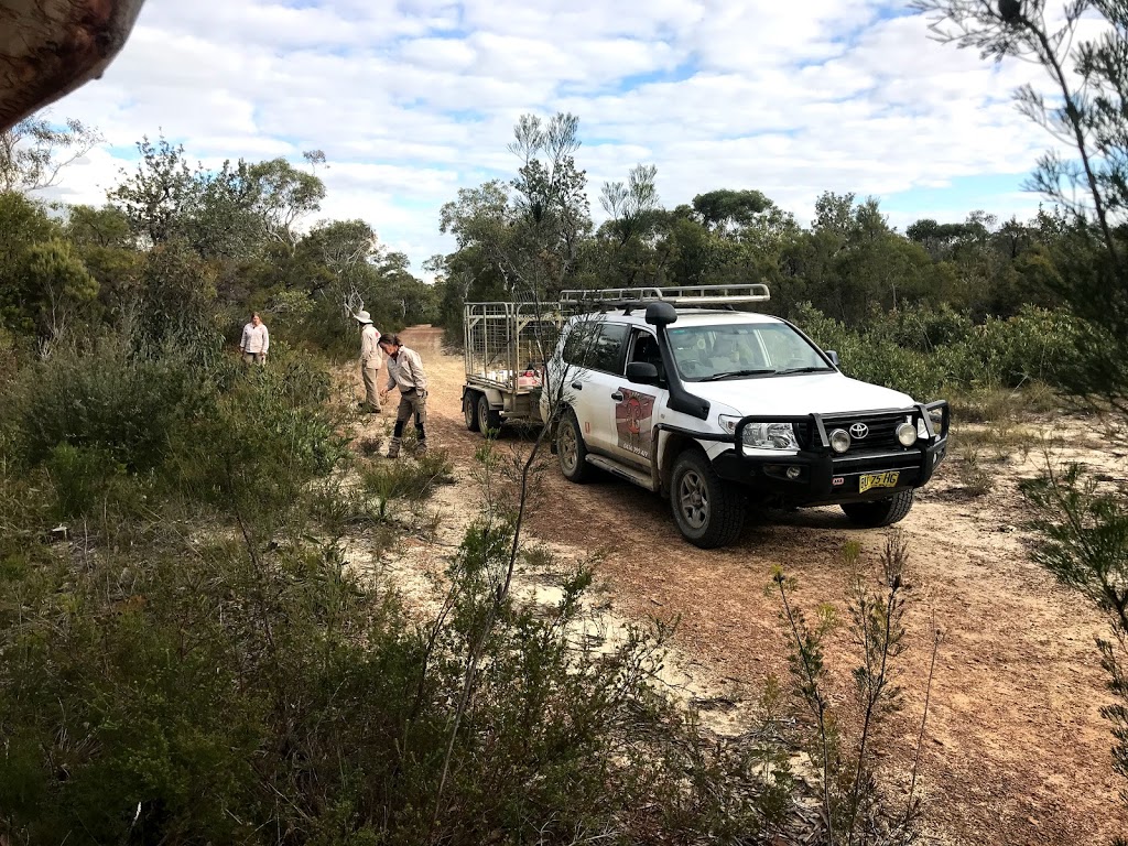 BARRC - Bushland And Rainforest Restoration & Consulting |  | 268 Hubbards Rd N, Topi Topi NSW 2423, Australia | 0249977500 OR +61 2 4997 7500