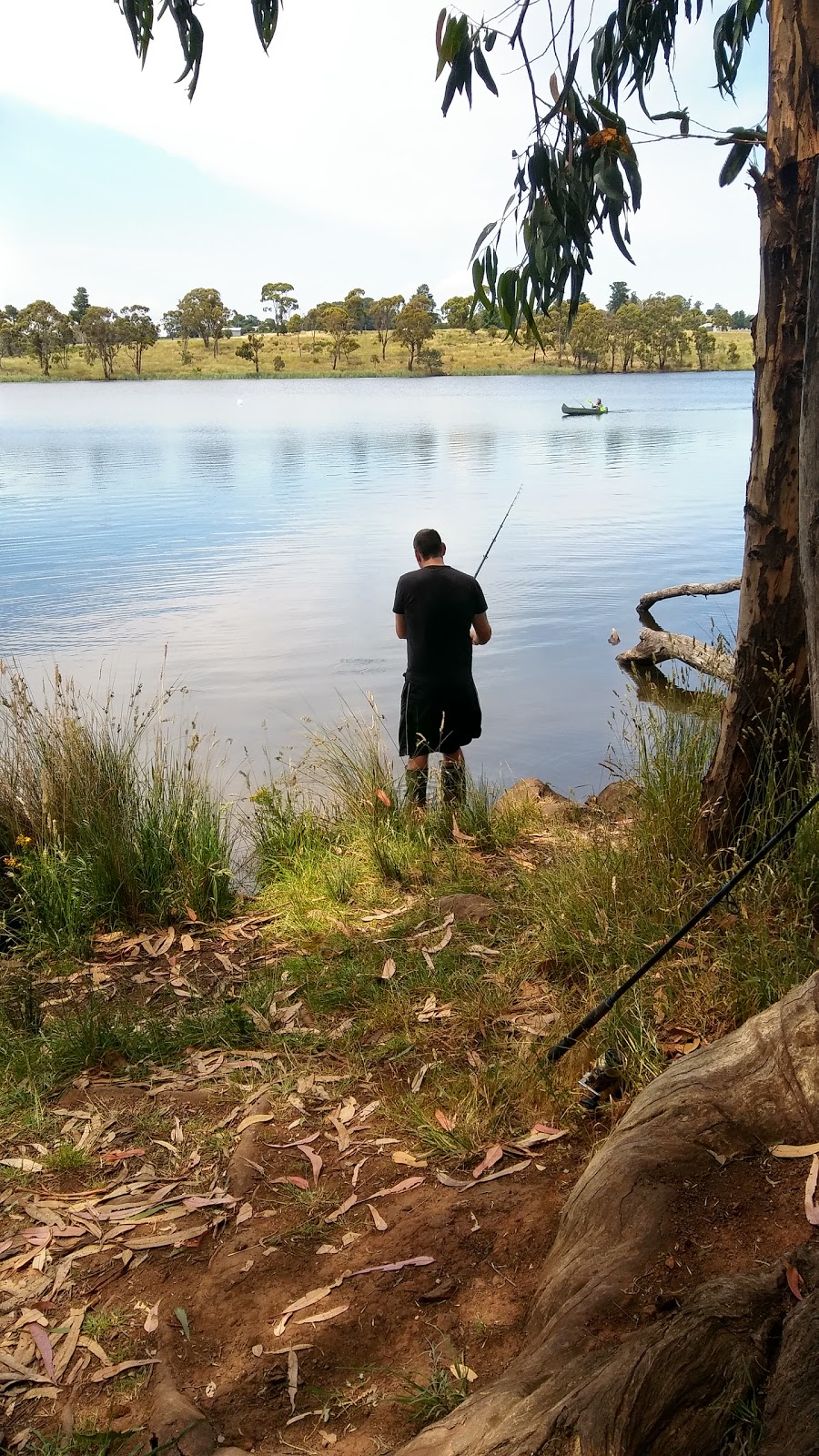 Gosling Creek Reserve | park | 28 Forest Rd, Bloomfield NSW 2800, Australia