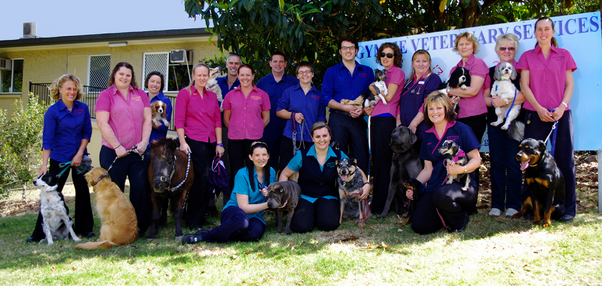 Tin Can Bay Veterinary Surgery | 67 Gympie Rd, Tin Can Bay QLD 4580, Australia | Phone: (07) 5486 4666