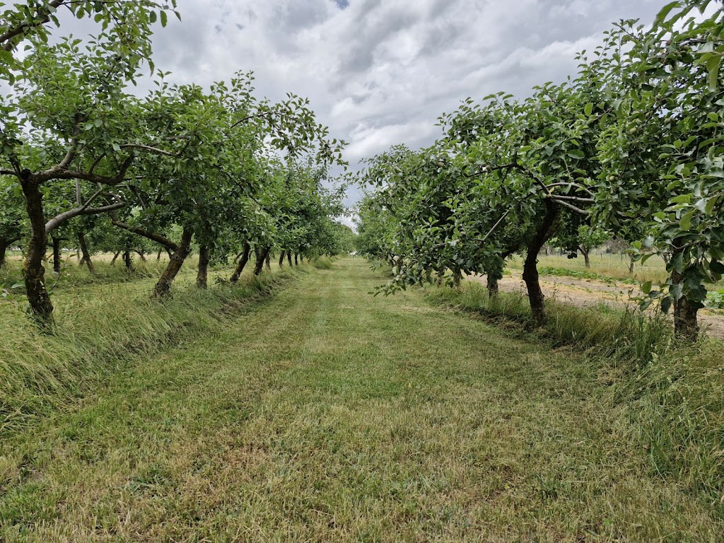 Fardon & Sons Organics | 225 Marshalls Ln, Blayney NSW 2799, Australia | Phone: 0427 148 009