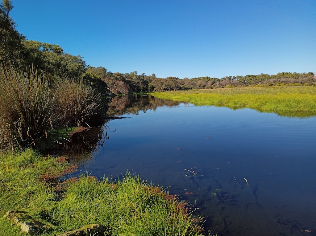 Yanchep Koala Boardwalk | tourist attraction | Yanchep WA 6035, Australia | 0893037759 OR +61 8 9303 7759