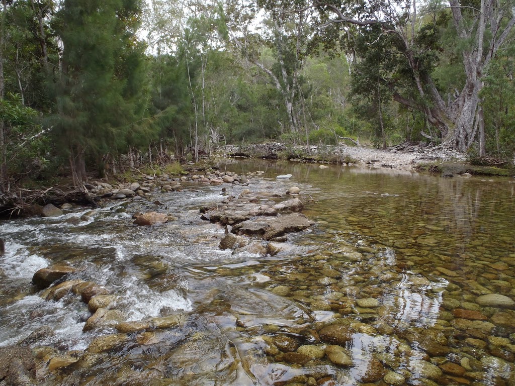 Mount Lewis National Park | park | Mount Carbine QLD 4871, Australia