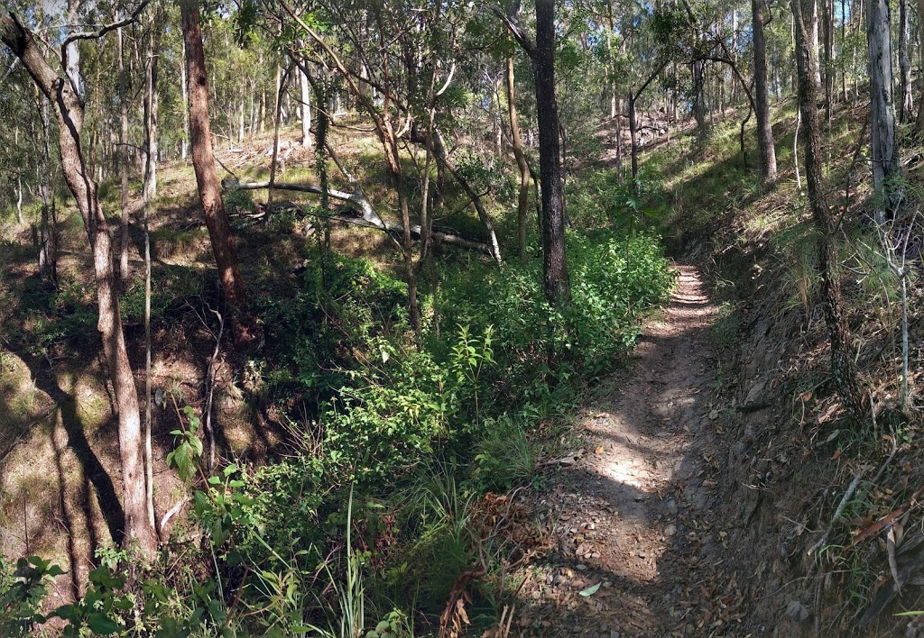 Cornubia Forest | park | Cornubia QLD 4130, Australia | 0734123412 OR +61 7 3412 3412
