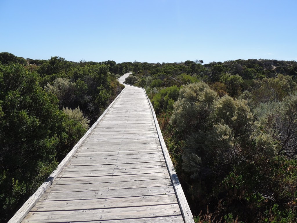 Pondalowie Surf Break | Browns Beach Rd, Inneston SA 5577, Australia | Phone: (08) 8854 3200