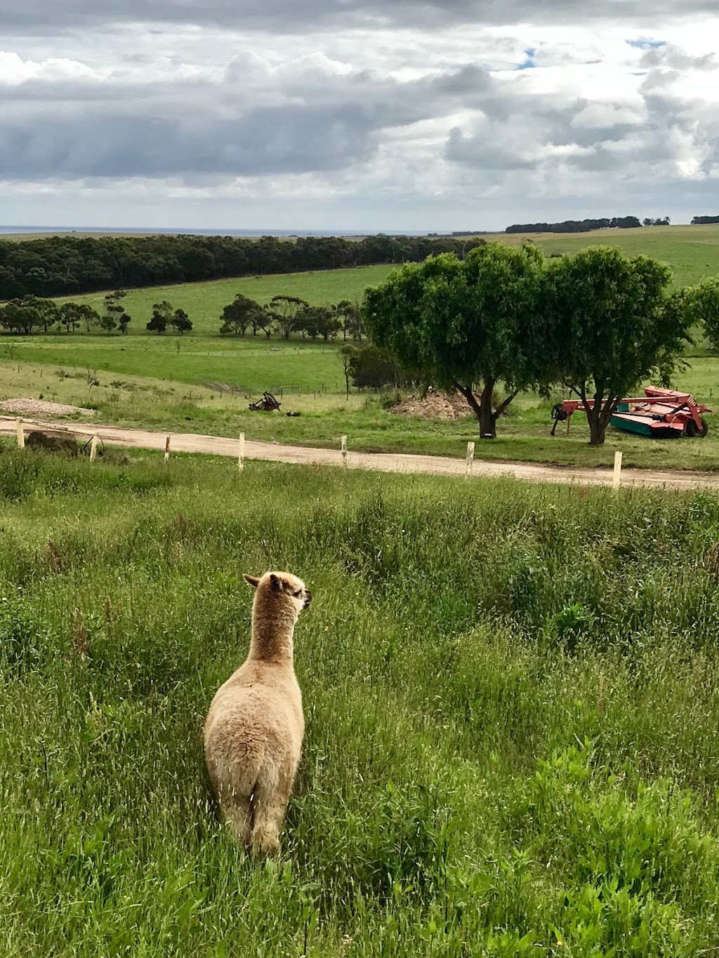 Macka’s Farm Lodge | lodging | 2310 Princetown Rd, Princetown VIC 3269, Australia | 0355988261 OR +61 3 5598 8261