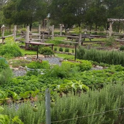 Hillview herb farm | park | 5 Fairbairns Rd, Forbesdale NSW 2422, Australia | 0265582369 OR +61 2 6558 2369