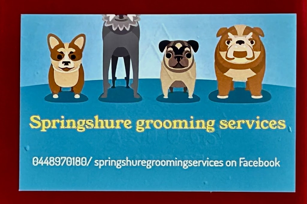 Springshure grooming services | 2721 Wards Mistake Rd, Wards Mistake NSW 2350, Australia | Phone: 0448 970 180