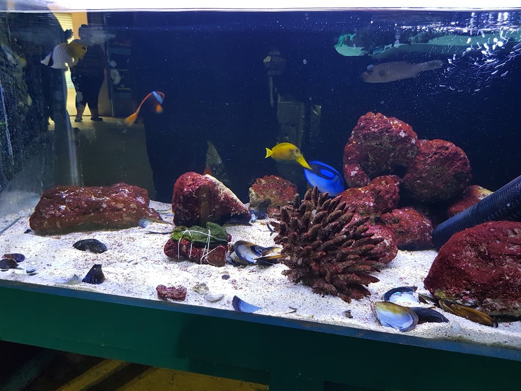 Aquariums At Cranbourne | pet store | 14 Cooper Ct, Cranbourne VIC 3977, Australia | 0359955066 OR +61 3 5995 5066