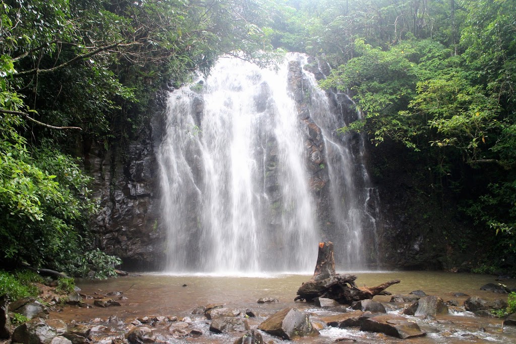 Mungalli Falls | tourist attraction | 280 Junction Rd, Millaa Millaa QLD 4886, Australia | 0740972358 OR +61 7 4097 2358