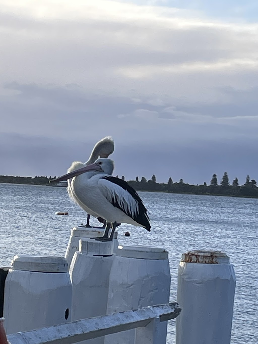 The Hideaway | 30 Ross Smith Parade, Great Mackerel Beach NSW 2108, Australia | Phone: 0400 311 475
