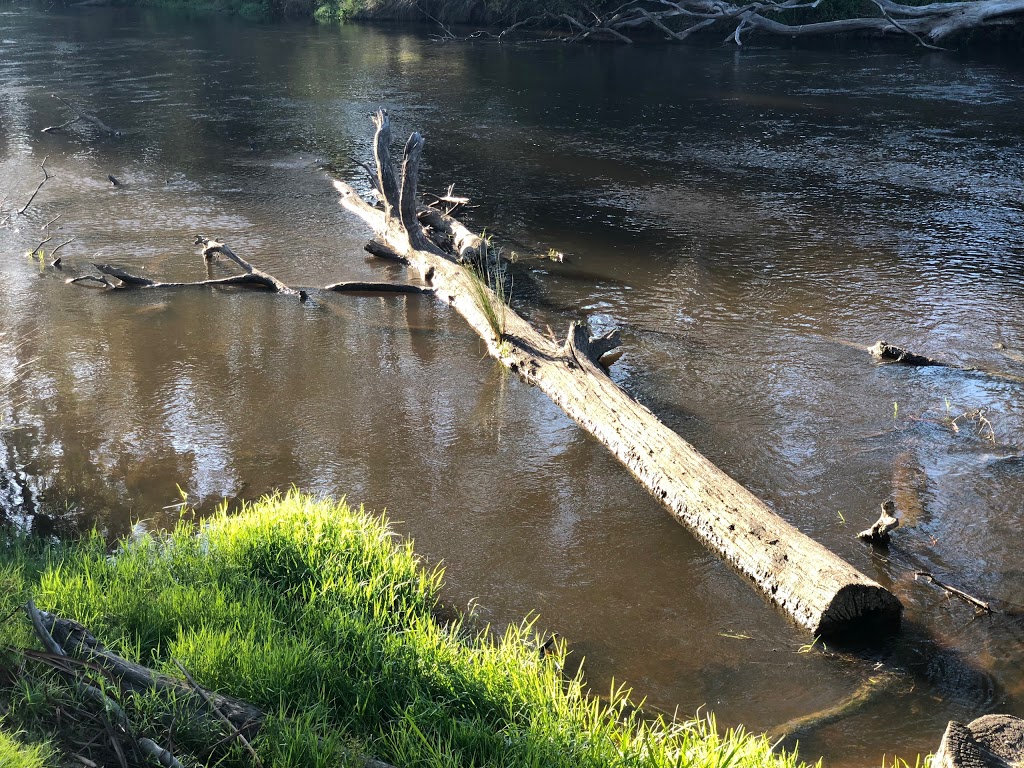 Warrandyte River Reserve | park | Yarra St, Warrandyte VIC 3113, Australia