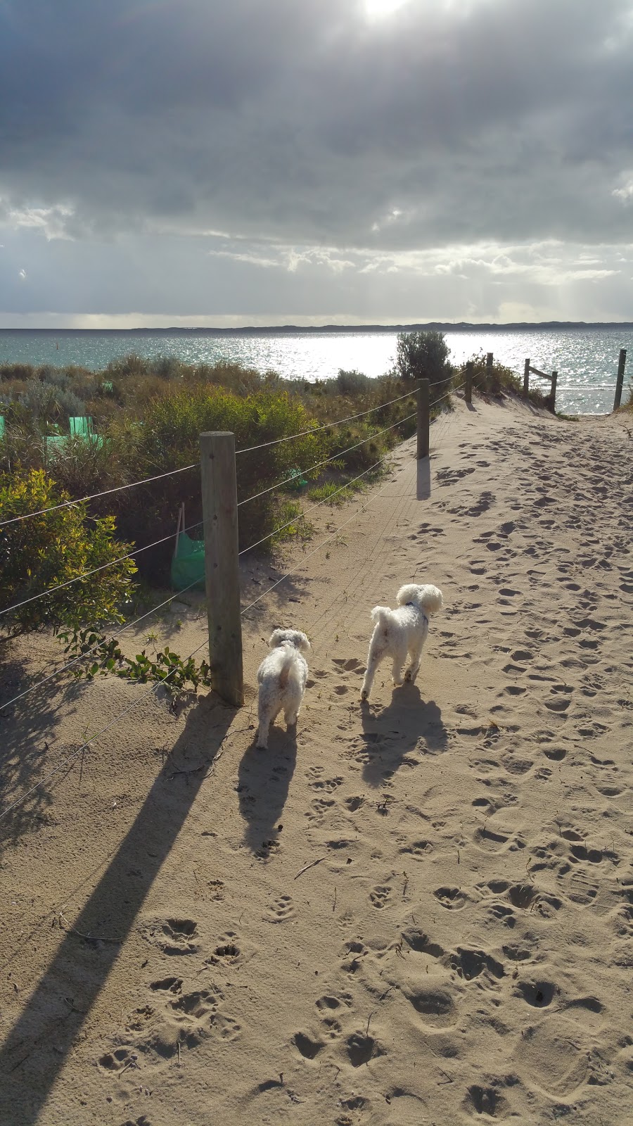 Governor Road Reserve | park | 201 Rockingham Beach Rd, Rockingham WA 6168, Australia