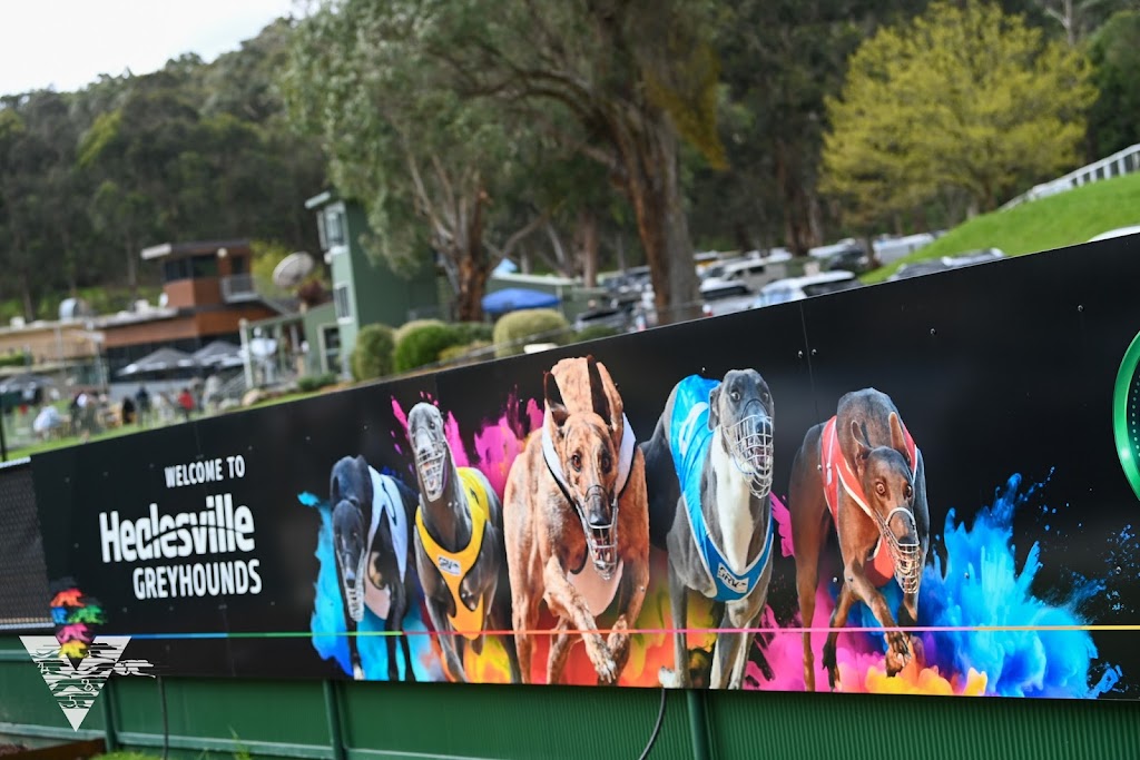 Healesville Greyhounds | 263 Don Rd, Healesville VIC 3777, Australia | Phone: (03) 5962 2420