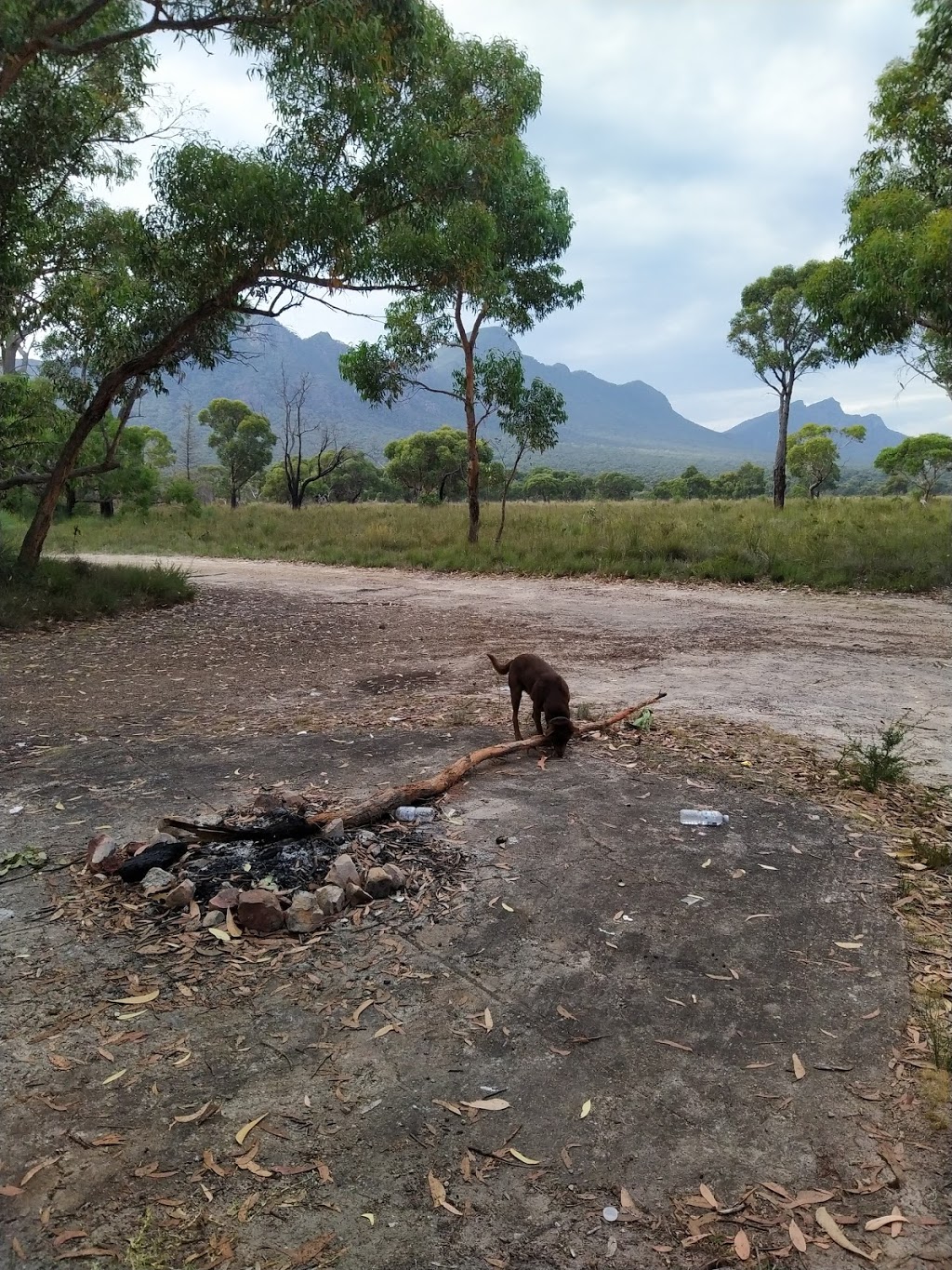 Griffin Picnic Area. | Bornes Hill VIC 3379, Australia | Phone: 13 19 63