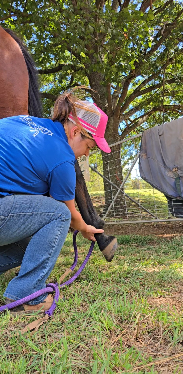 K.Olsen Equine Bodywork | 20 Dog Rocks Rd, Black Springs NSW 2787, Australia | Phone: 0438 510 413
