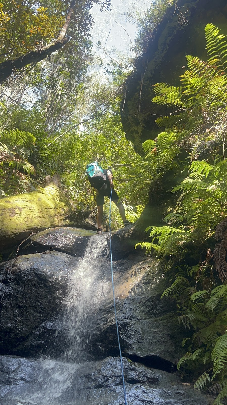 Wollemi Wanders | Bushwalks and Canyoning | 16 Church Ln, Mount Wilson NSW 2786, Australia | Phone: 0436 107 829