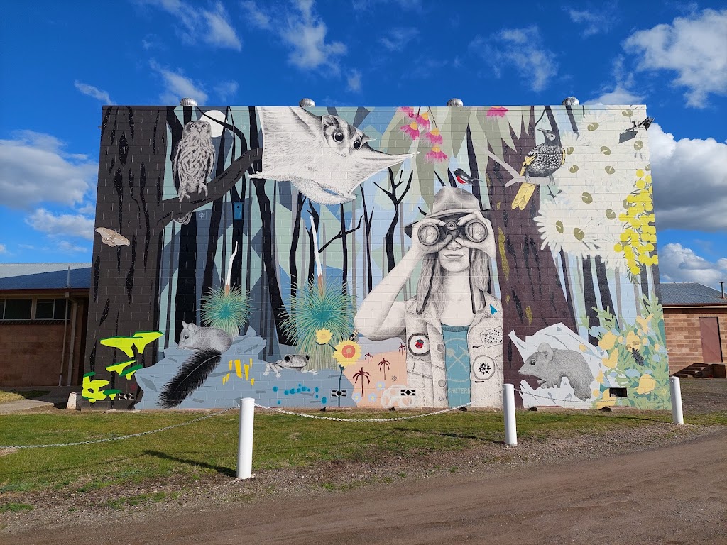 National Park Mural | tourist attraction | 90 Conness St, Chiltern VIC 3683, Australia | 0357261611 OR +61 3 5726 1611