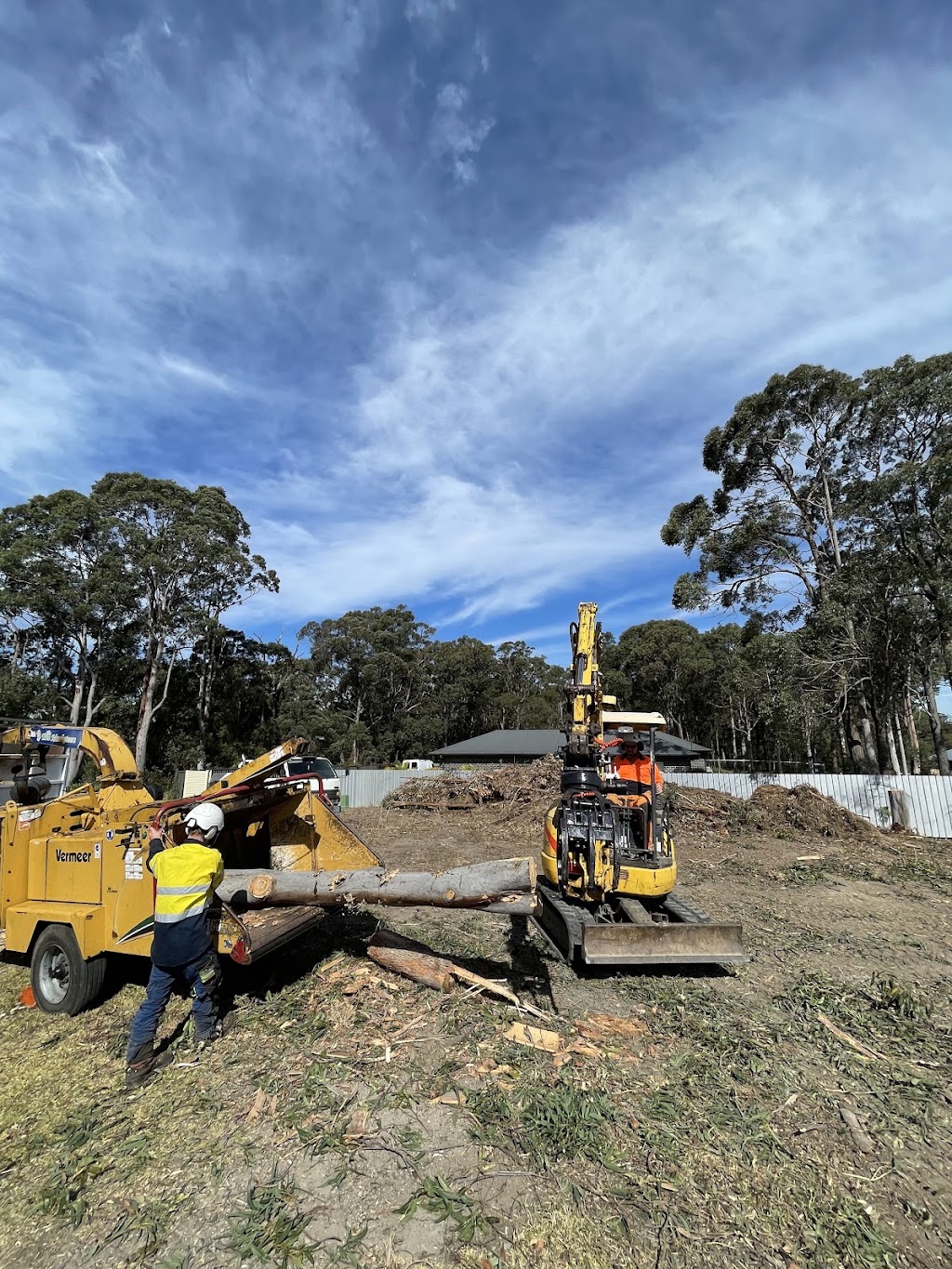 EziClip Tree Service | 14 Fernleigh Pl, New Lambton Heights NSW 2305, Australia | Phone: 0472 977 737