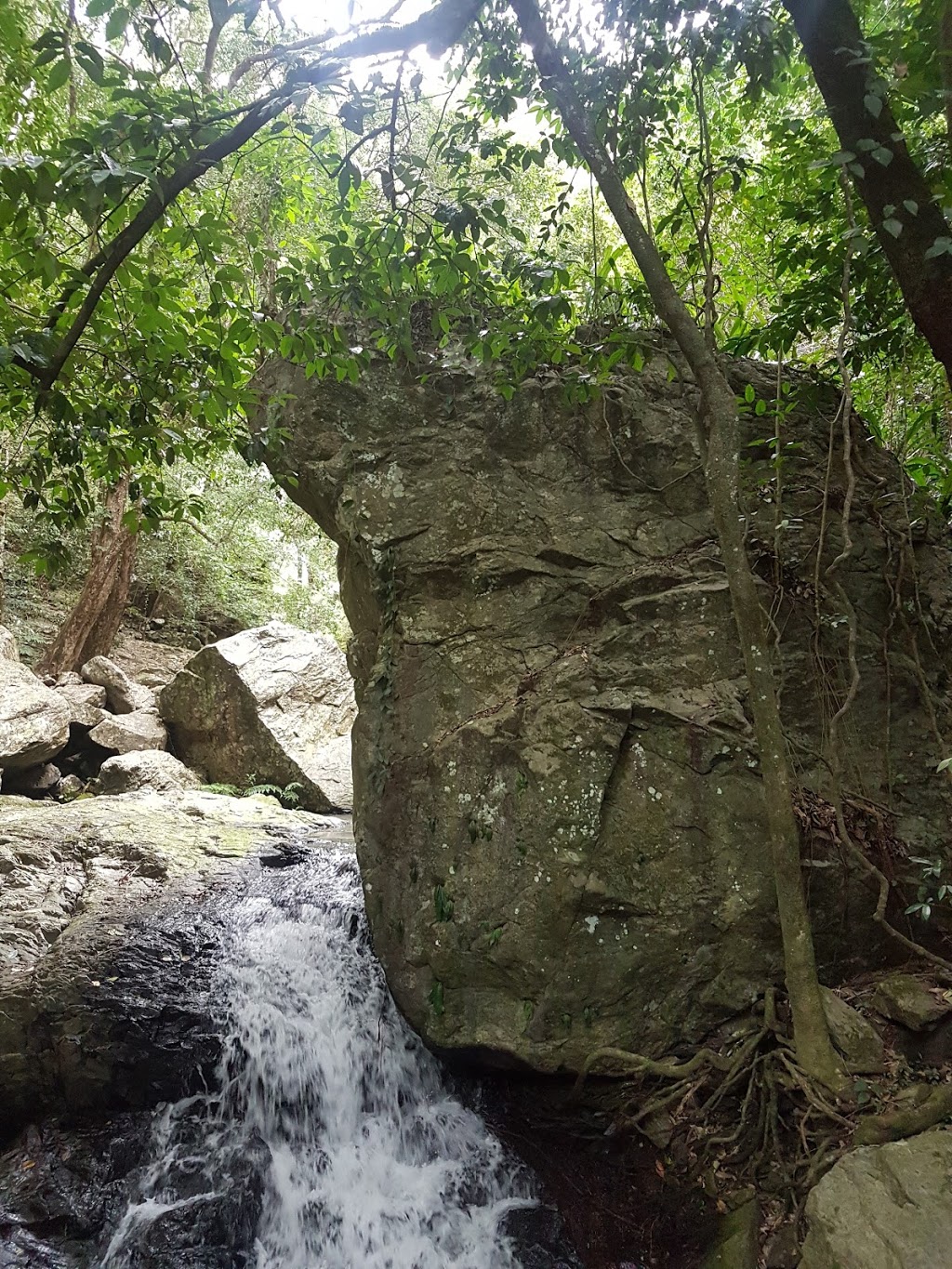 Barron Gorge National Park | Wrights Lookout Rd, Kuranda QLD 4881, Australia | Phone: (07) 4093 9311