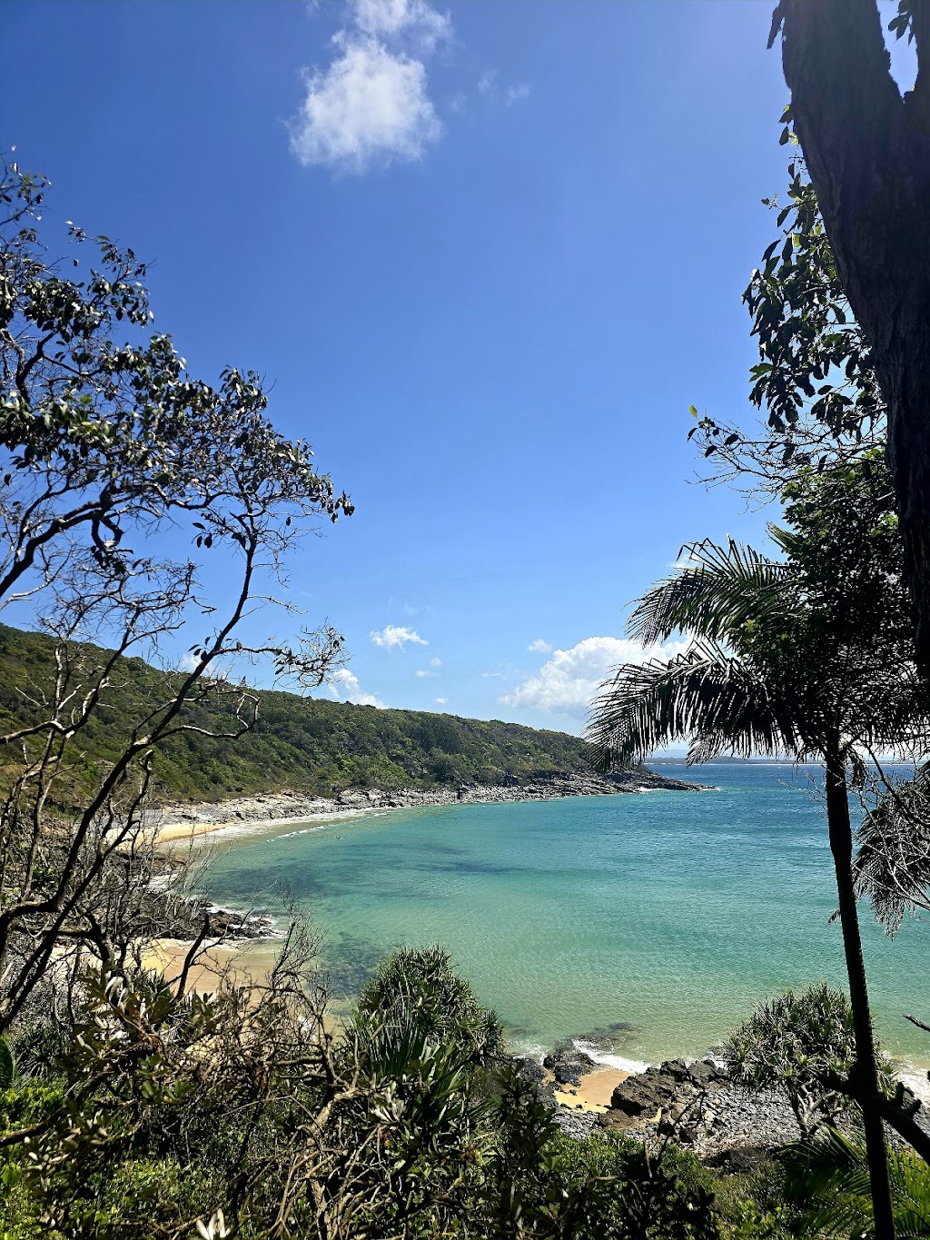 Aussie Backyard Tours | 32 Denman St, Greenslopes QLD 4120, Australia | Phone: 0430 552 032