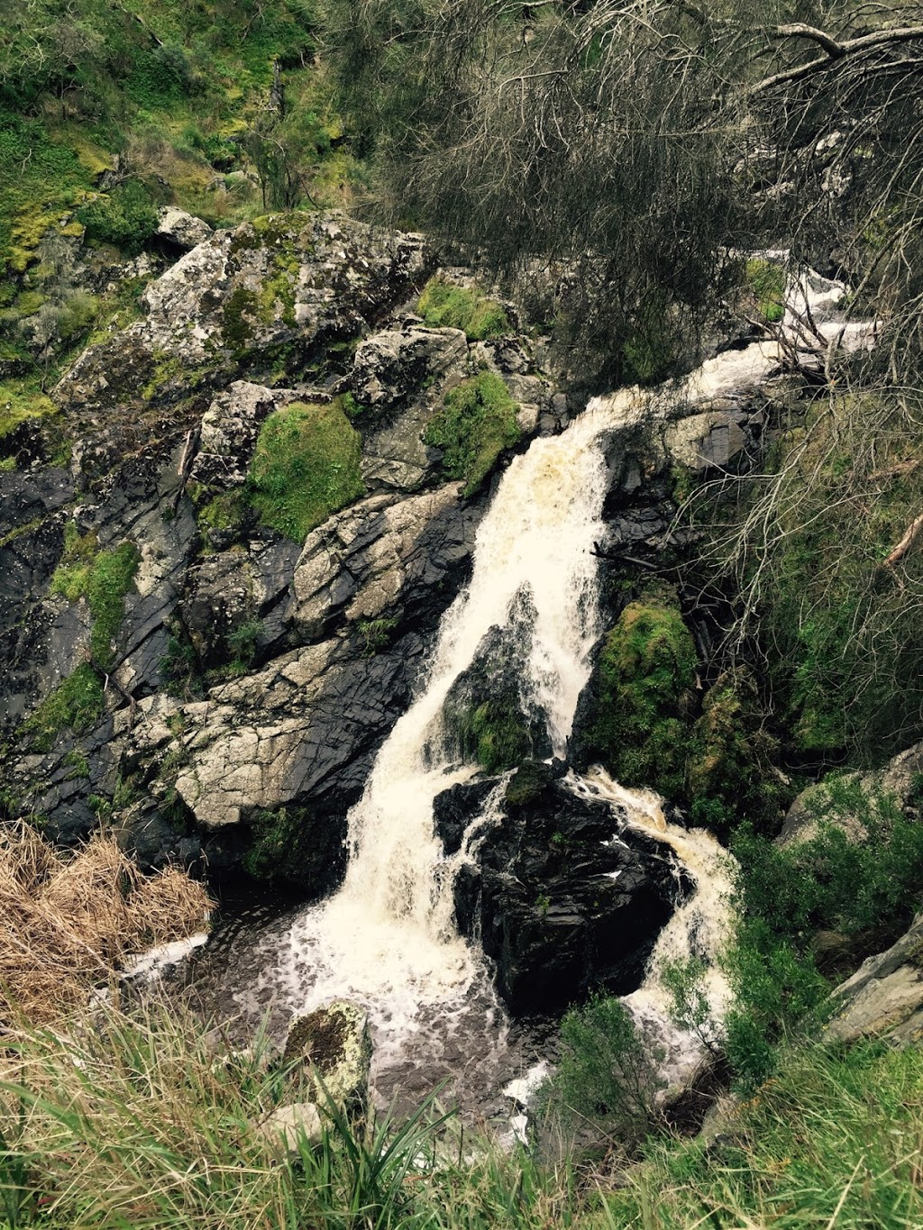 Hindmarsh Water Falls | park | Hindmarsh Falls Rd, Hindmarsh Valley SA 5211, Australia | 0885510500 OR +61 8 8551 0500