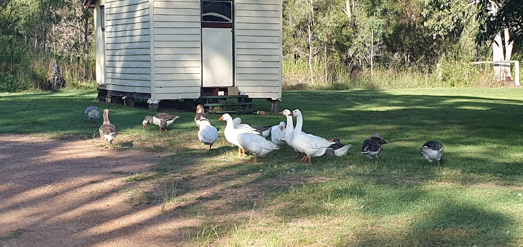 Bush to beach farmstay | 15 Tanby Post Office Rd, Tanby QLD 4703, Australia | Phone: 0408 464 790 Bush to beach farmstay | 15 Tanby Post Office Rd, Tanby QLD 4703, Australia | Phone: 0408 464 790
